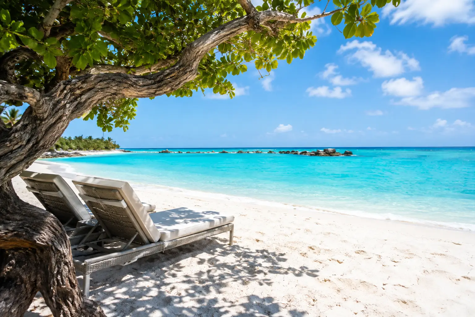 Eagle Beach for a Dreamy Aruba Beach Day